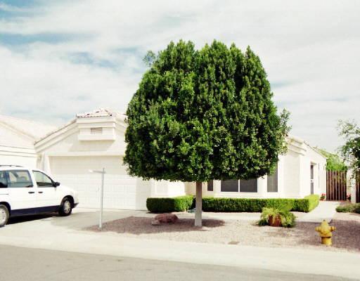 37 S Willow Creek St., Chandler, AZ 85225