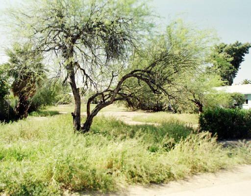 2621 E Brill St., Phoenix, AZ 85008