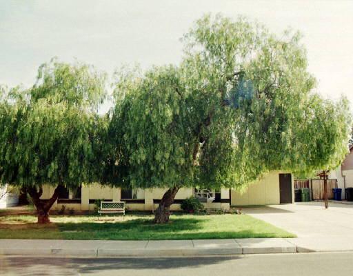 2318 E Javelina Ave., Mesa, AZ 85204