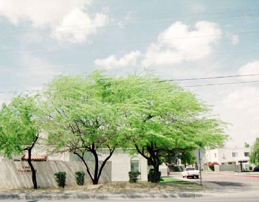 948 S Alma School Rd. #148, Mesa, AZ 85210