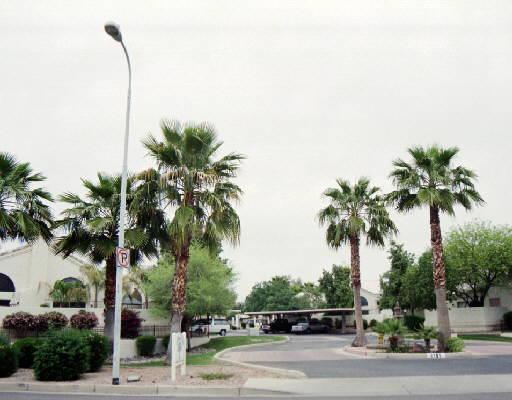 2100 W Lemon Tree Pl. #37, Chandler, AZ 85224