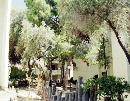 8055 E Thomas Rd. #N302, Scottsdale, AZ 85251