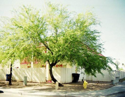 1766 E Pepper Pl., Mesa, AZ 85203