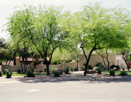 7393 E Paradise Dr., Scottsdale, AZ 85260