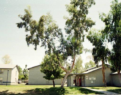 465 W Ivyglen St., Mesa, AZ 85201