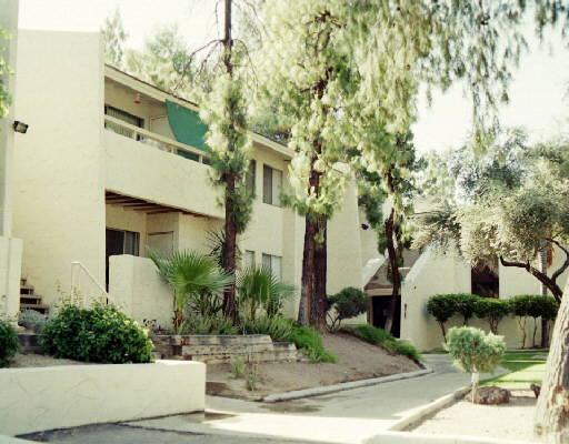 8055 E Thomas Rd. #M302, Scottsdale, AZ 85251