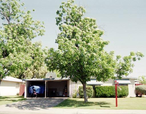 1540 W 6th Dr., Mesa, AZ 85202