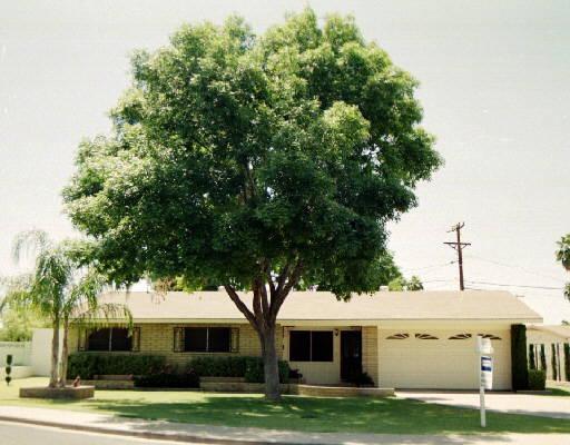 1552 N Upland Cir., Mesa, AZ 85201