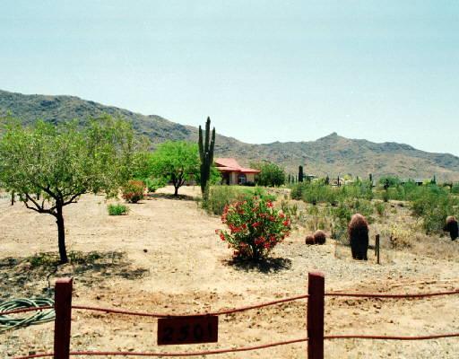 2501 W Sunrise Dr., Phoenix, AZ 85041