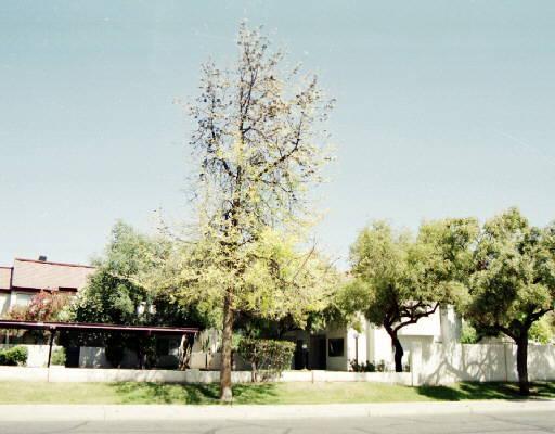 2121 S Pennington Dr. #46, Mesa, AZ 85202