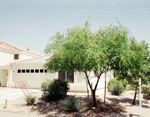 250 W Juniper Ave. #89, Gilbert, AZ 85233
