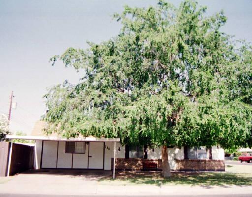 716 S Solomon St., Mesa, AZ 85204