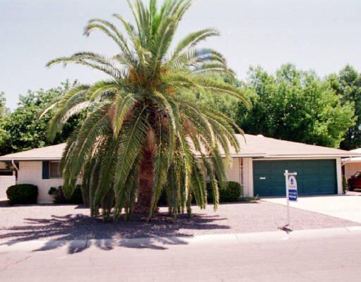 617 S Revolta Cir., Mesa, AZ 85208