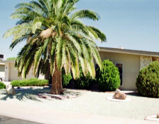 10918 W Granada Dr., Sun City, AZ 85373