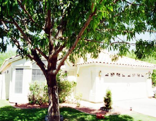 1355 E Butler Circle, Chandler, AZ 85225