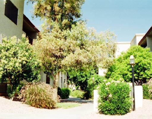 3031 N Civic Center Plz. #163, Scottsdale, AZ 85251