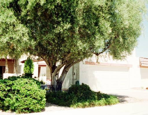 5638 N 78th Pl., Scottsdale, AZ 85250