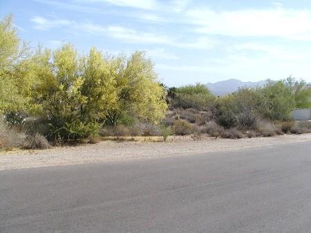 18802 E Mescalero Dr. #1252, Rio Verde, AZ 85263