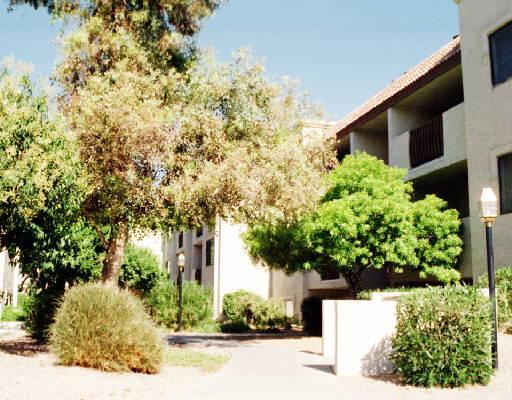 3031 N Civic Center Pl. #238, Scottsdale, AZ 85251