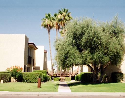 4620 N 68th St. #173, Scottsdale, AZ 85251