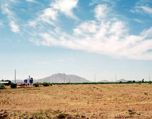 19315 S 165th Way Way, Gilbert, AZ 85234