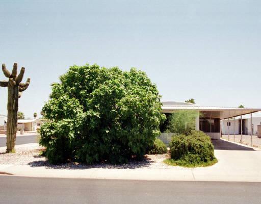 2669 N Armour Ave., Mesa, AZ 85215