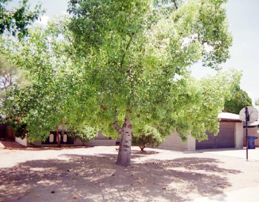 1309 E Minton Dr., Tempe, AZ 85282