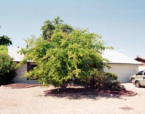 3255 E Pueblo Ave., Mesa, AZ 85204