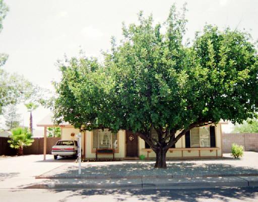 3132 S Los Altos St., Mesa, AZ 85202