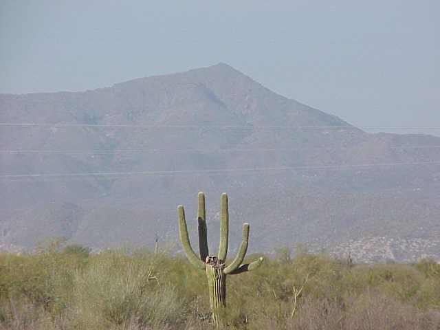 148th St St., Scottsdale, AZ 85262