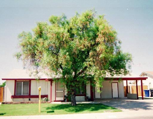 2316 W Mcnair St., Chandler, AZ 85224