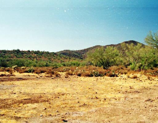 49602 N 11th Ave., New River, AZ 85087