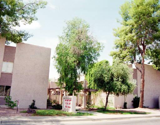 425 E Brown Rd., Mesa, AZ 85203