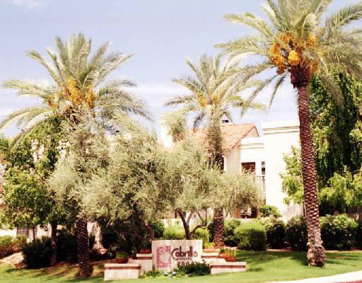 7800 E Lincoln Dr. #1068, Scottsdale, AZ 85250