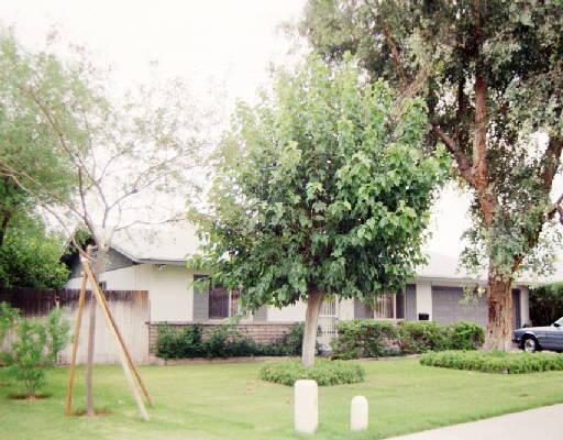 1503 E Dolphin Ave., Mesa, AZ 85204