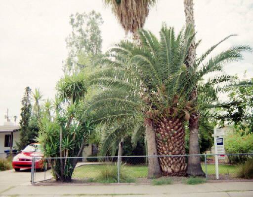 2029 E Howe St., Tempe, AZ 85281