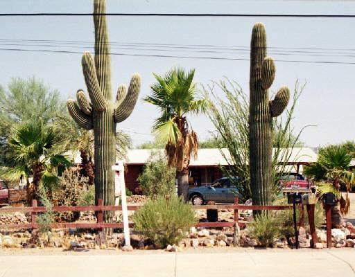 2364 W Virginia St., Apache Junction, AZ 85120