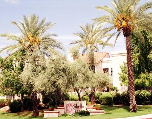 7800 E Lincoln Dr. #2011, Scottsdale, AZ 85250