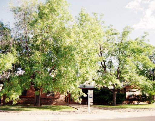 1457 E Gary St., Mesa, AZ 85203