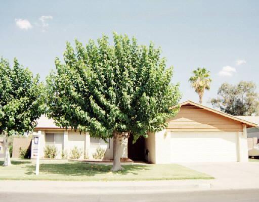 745 N Cholla St., Mesa, AZ 85201