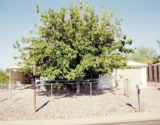 932 S 96th St., Mesa, AZ 85208