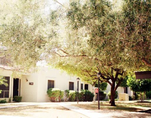 3033 E Cannon Dr., Phoenix, AZ 85028