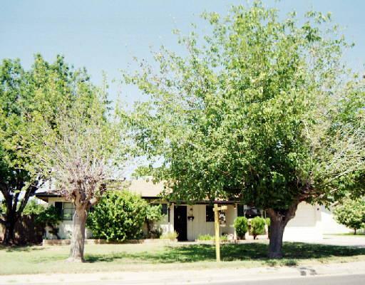 1424 E Pepper Pl., Mesa, AZ 85203