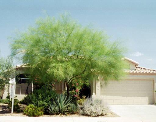 16609 N 23rd Pl., Phoenix, AZ 85022