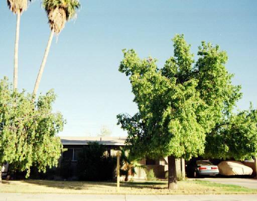 465 E 10th Pl., Mesa, AZ 85203