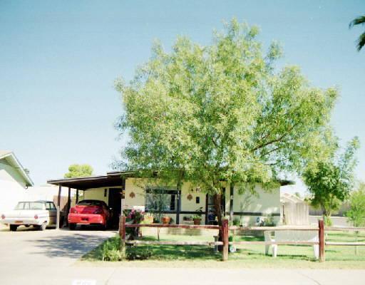 886 E Tyson St., Chandler, AZ 85225