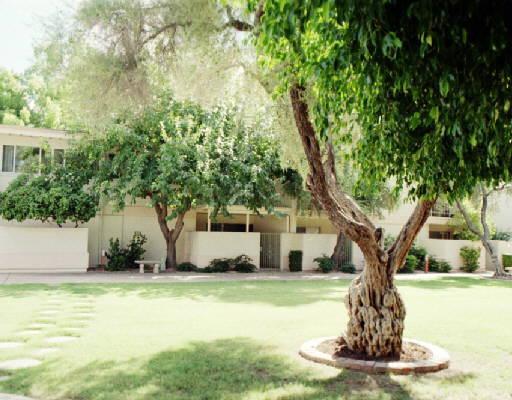 2233 E Highland St. #114, Phoenix, AZ 85016