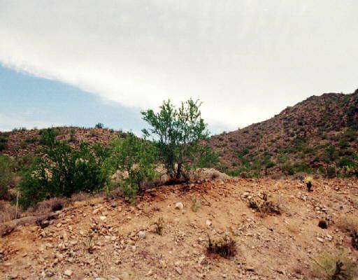 11025 N 130th Way, Scottsdale, AZ 85259