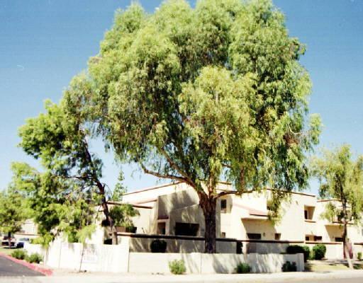 850 S River Dr. #2063, Tempe, AZ 85281