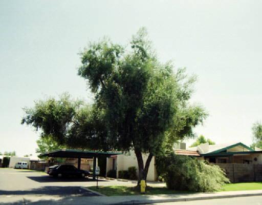 555 N May St. #14, Mesa, AZ 85201